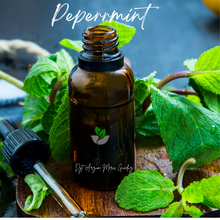 Darıca Diyetisyen Meriç Gündüz ile sağlıklı yaşam ve fiziksel aktivite önerileri. En iyi diyetisyen. Esansiyel yağlar, nane yağı faydaları.