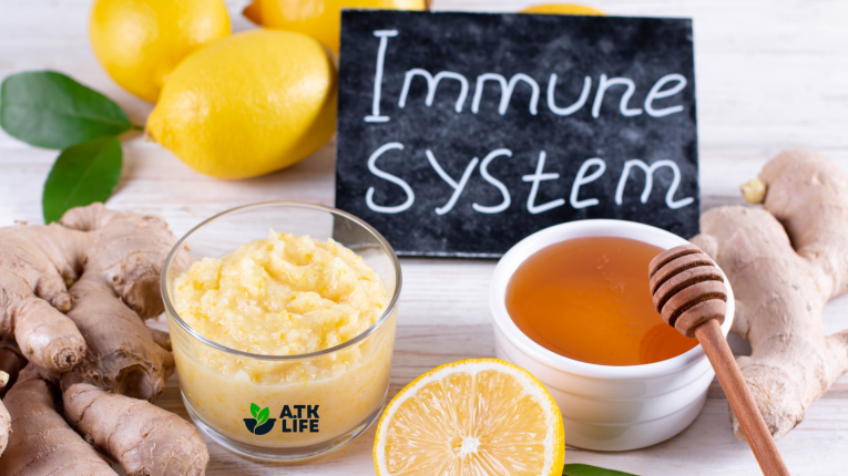 Darıca Diyetisyen Meriç Gündüz immün sistem